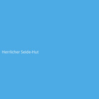 Herrlicher Seide-Hut