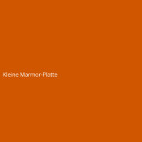 Kleine Marmor-Platte